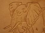 elephant demo 004 (Large)
