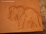 elephant demo 020 (Large)